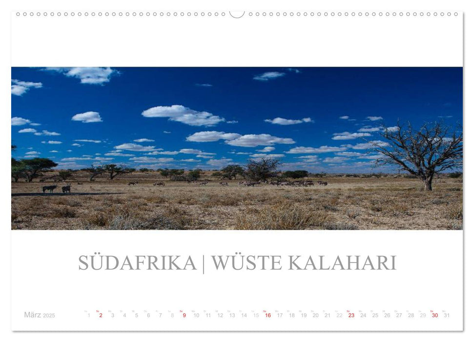 Naturparadiese - Traumreise durch das südliche Afrika (CALVENDO Premium Wandkalender 2025)