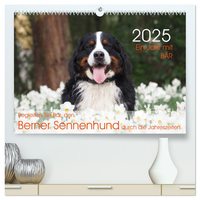 Ein Jahr mit BÄR. Begleiten Sie Bär, den Berner Sennenhund, durch die Jahreszeiten. (CALVENDO Premium Wandkalender 2025)