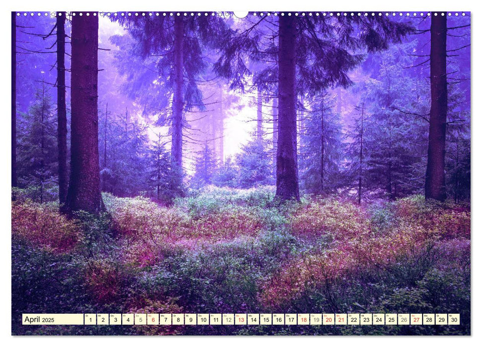 Mystische Wälder - Zauber der Natur (CALVENDO Wandkalender 2025)