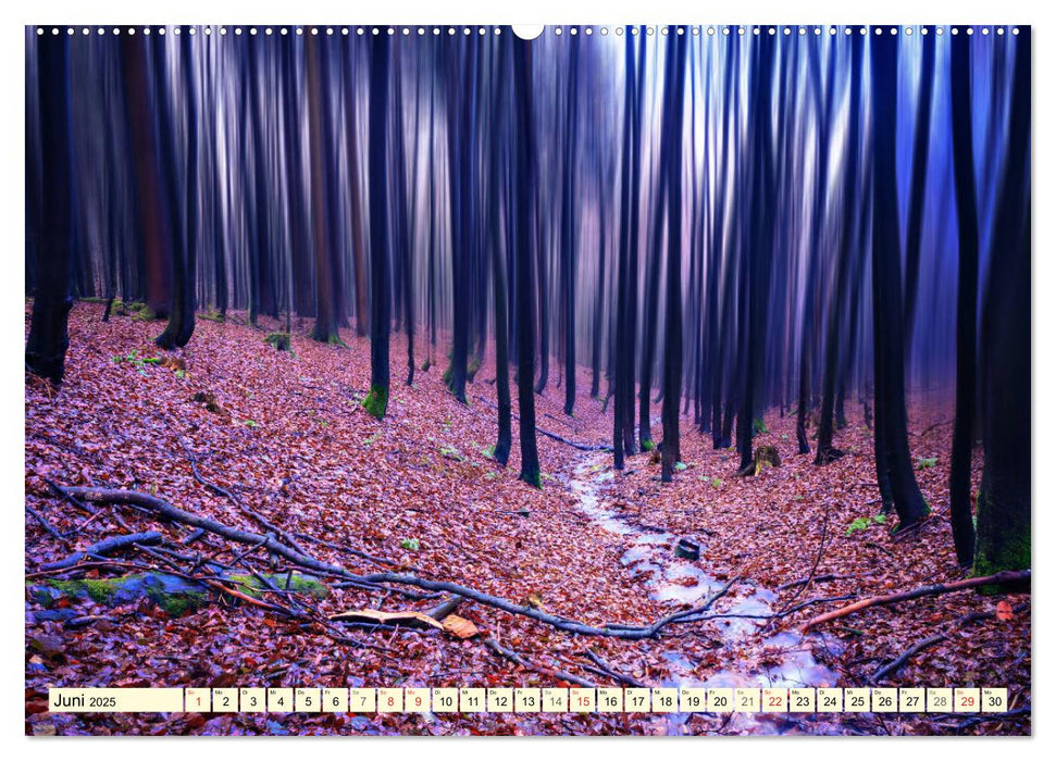 Mystische Wälder - Zauber der Natur (CALVENDO Wandkalender 2025)