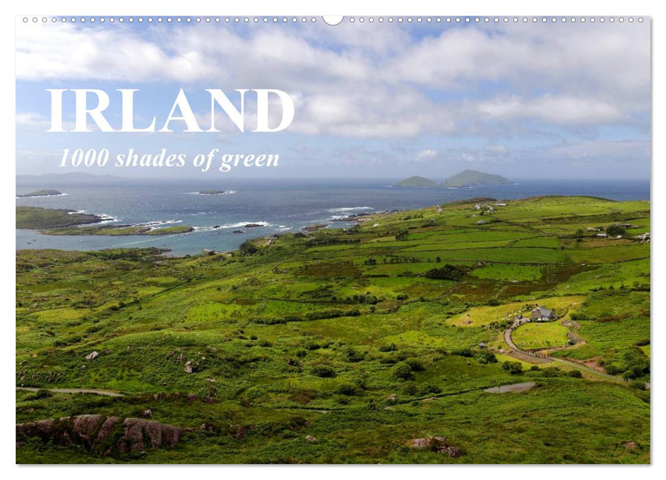 IRLAND. 1000 shades of green (CALVENDO Wandkalender 2025)