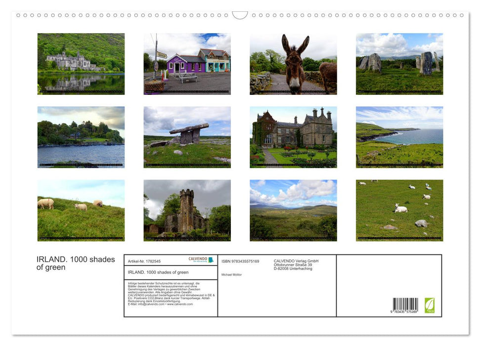 IRLAND. 1000 shades of green (CALVENDO Wandkalender 2025)