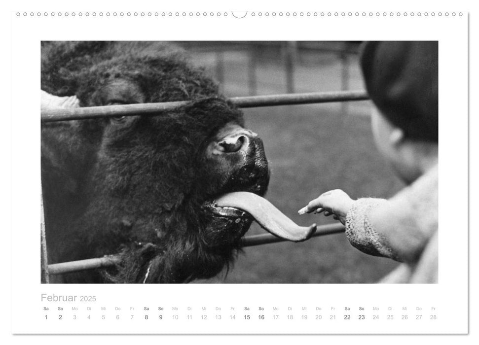 Tier und Mensch - Zwiesprachen (CALVENDO Wandkalender 2025)