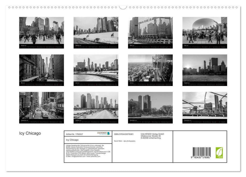 Icy Chicago (CALVENDO Premium Wandkalender 2025)