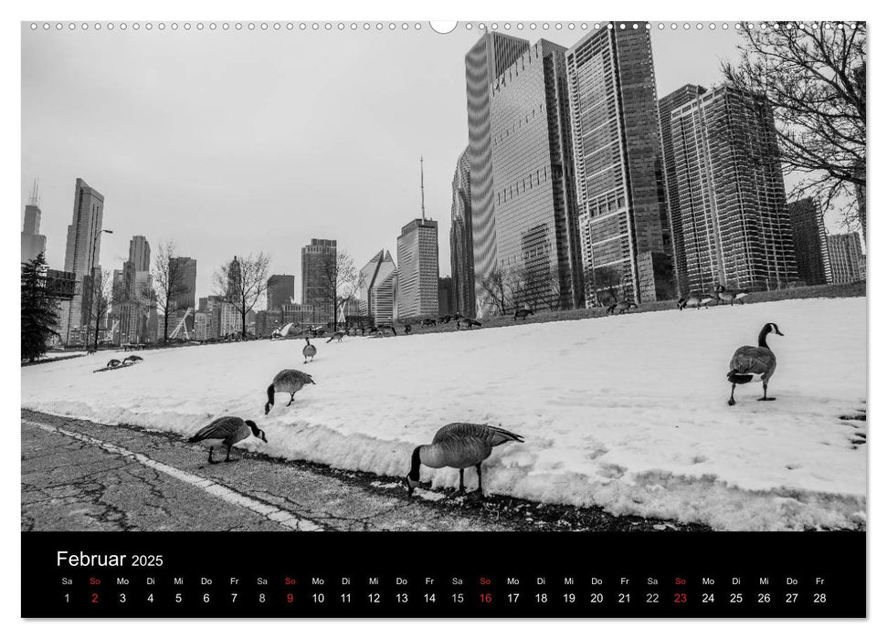 Icy Chicago (CALVENDO Premium Wandkalender 2025)