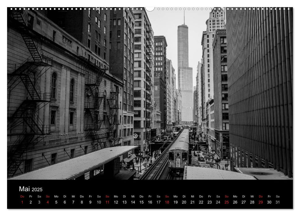 Icy Chicago (CALVENDO Premium Wandkalender 2025)