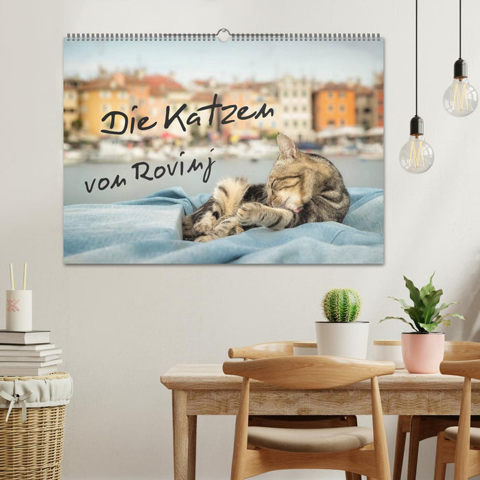 Die Katzen von Rovinj (CALVENDO Wandkalender 2025)