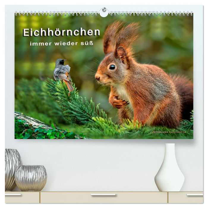 Eichhörnchen - immer wieder süß (CALVENDO Premium Wandkalender 2025)