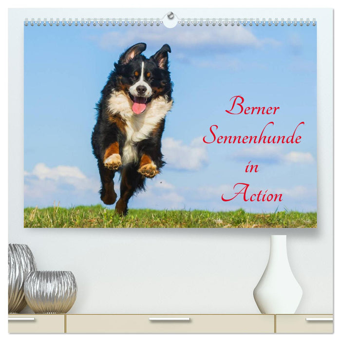 Berner Sennenhunde in Action (CALVENDO Premium Wandkalender 2025)