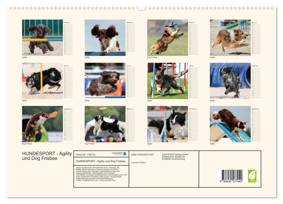 HUNDESPORT - Agility und Dog Frisbee (CALVENDO Premium Wandkalender 2025)