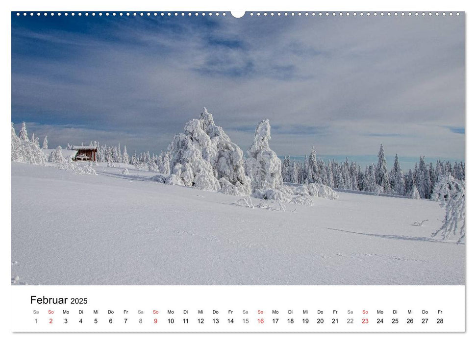 Naturerlebnis Nordschwarzwald (CALVENDO Premium Wandkalender 2025)