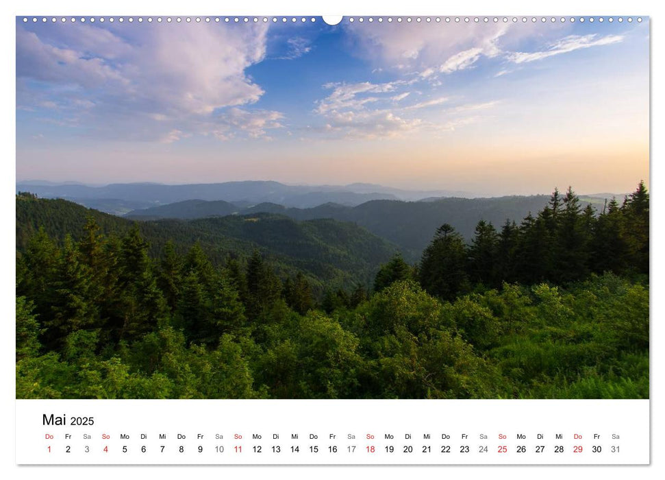 Naturerlebnis Nordschwarzwald (CALVENDO Premium Wandkalender 2025)