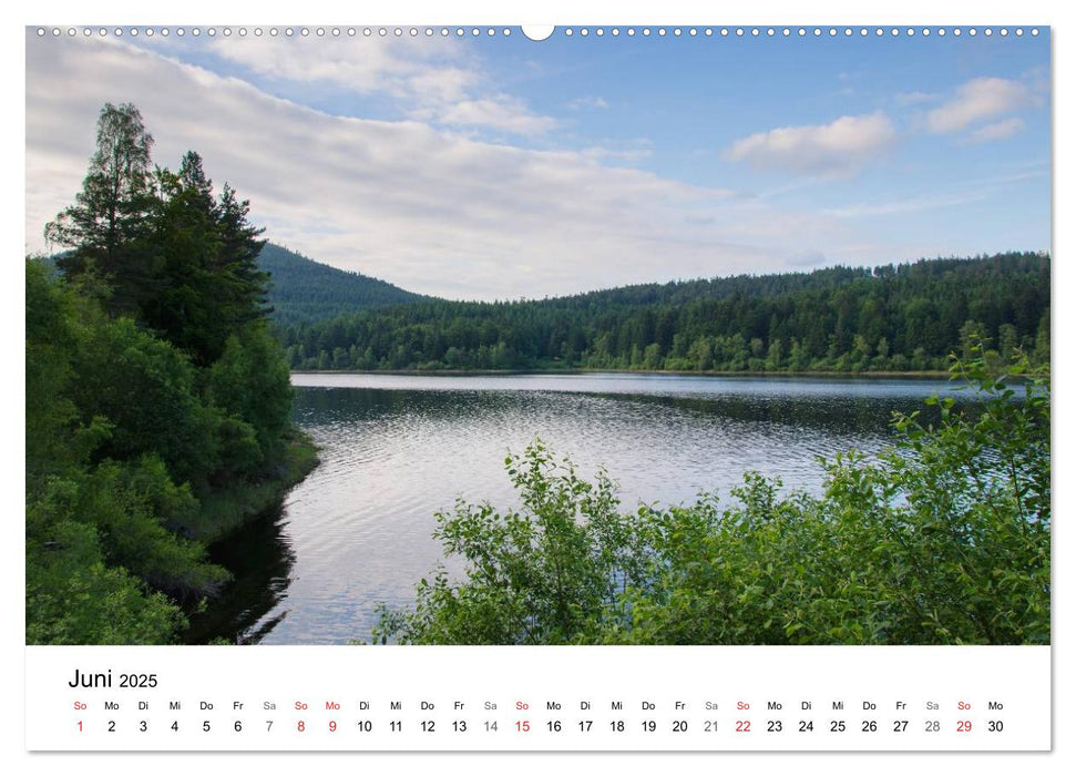 Naturerlebnis Nordschwarzwald (CALVENDO Premium Wandkalender 2025)