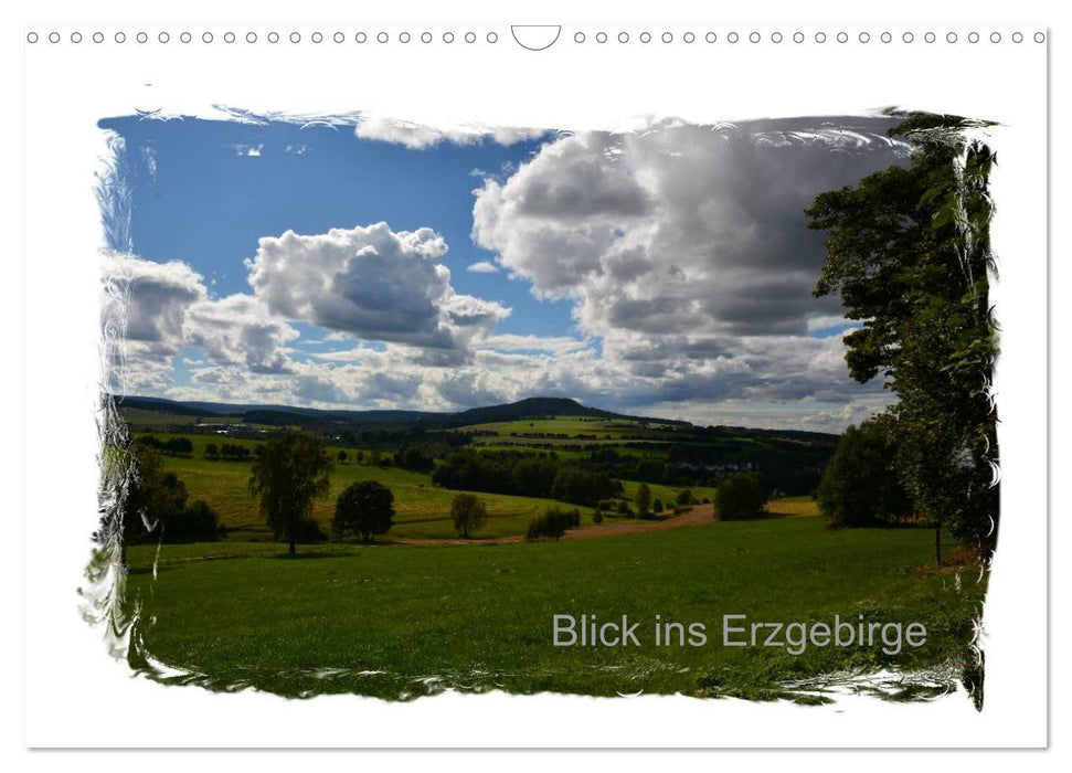 Blick ins Erzgebirge (CALVENDO Wandkalender 2025)