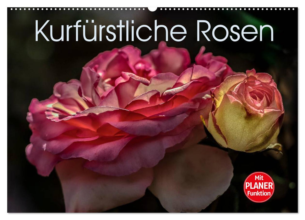 Kurfürstliche Rosen Eltville am Rhein (CALVENDO Wandkalender 2025)