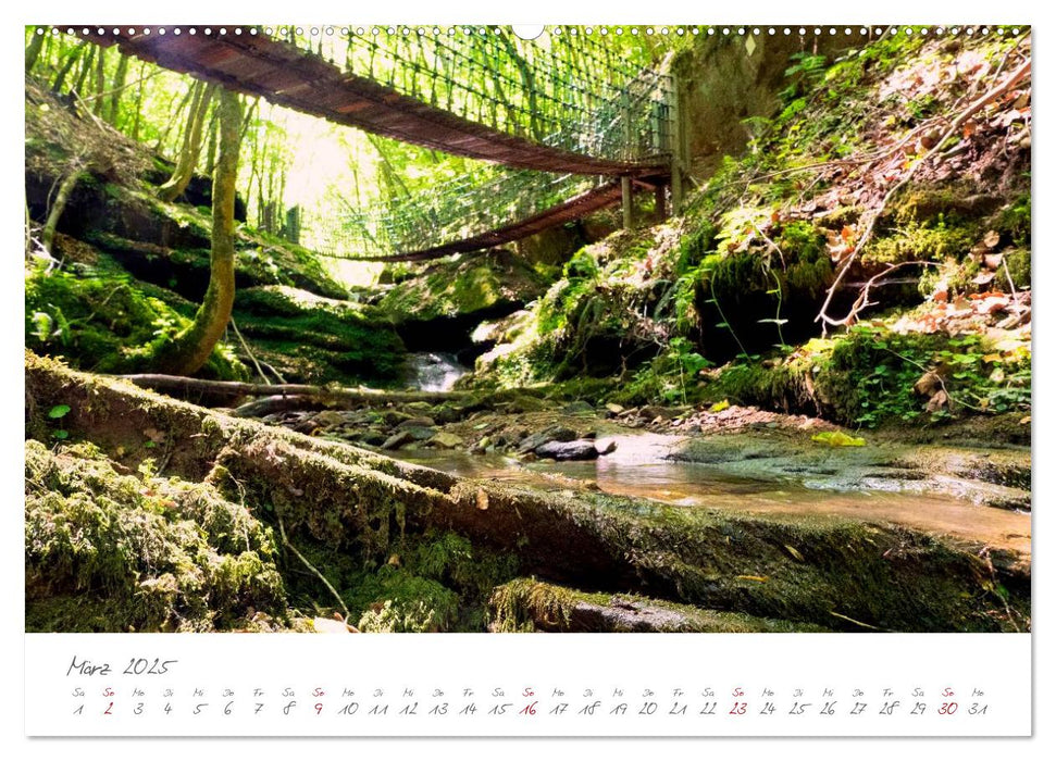 Erlebnis Eifel (CALVENDO Premium Wandkalender 2025)