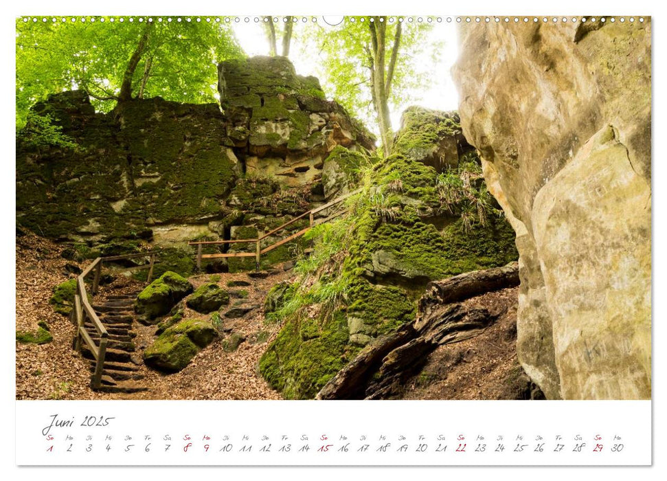 Erlebnis Eifel (CALVENDO Premium Wandkalender 2025)