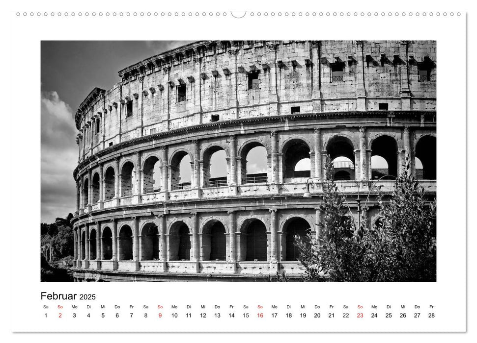 ROM Monochrom (CALVENDO Premium Wandkalender 2025)