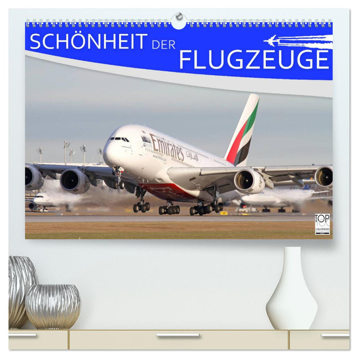 Schönheit der Flugzeuge (CALVENDO Premium Wandkalender 2025)