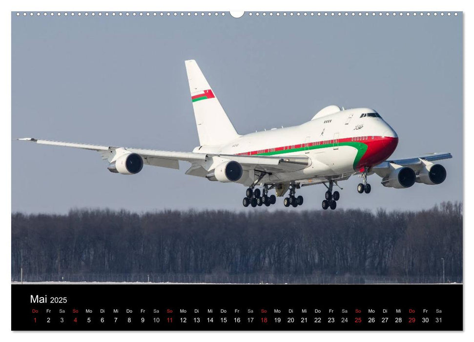 Schönheit der Flugzeuge (CALVENDO Premium Wandkalender 2025)