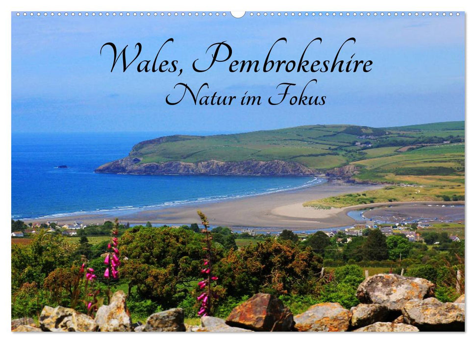 Wales Pembrokeshire - Natur im Fokus- (CALVENDO Wandkalender 2025)