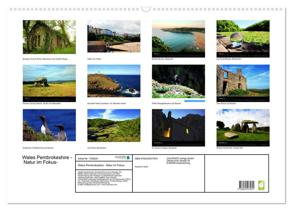 Wales Pembrokeshire - Natur im Fokus- (CALVENDO Wandkalender 2025)