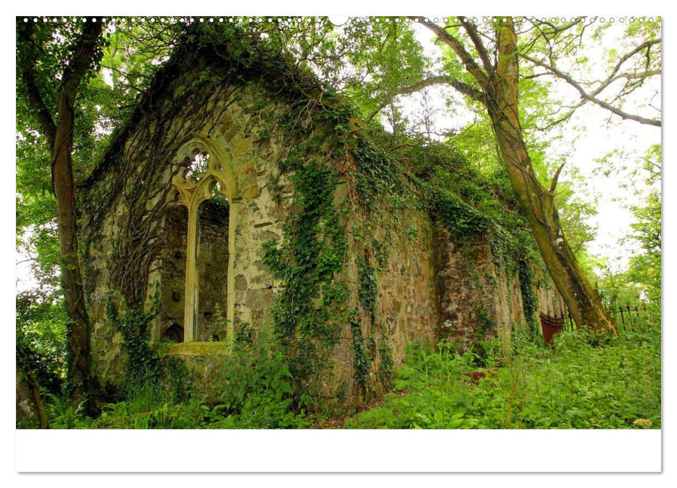 Wales Pembrokeshire - Natur im Fokus- (CALVENDO Wandkalender 2025)