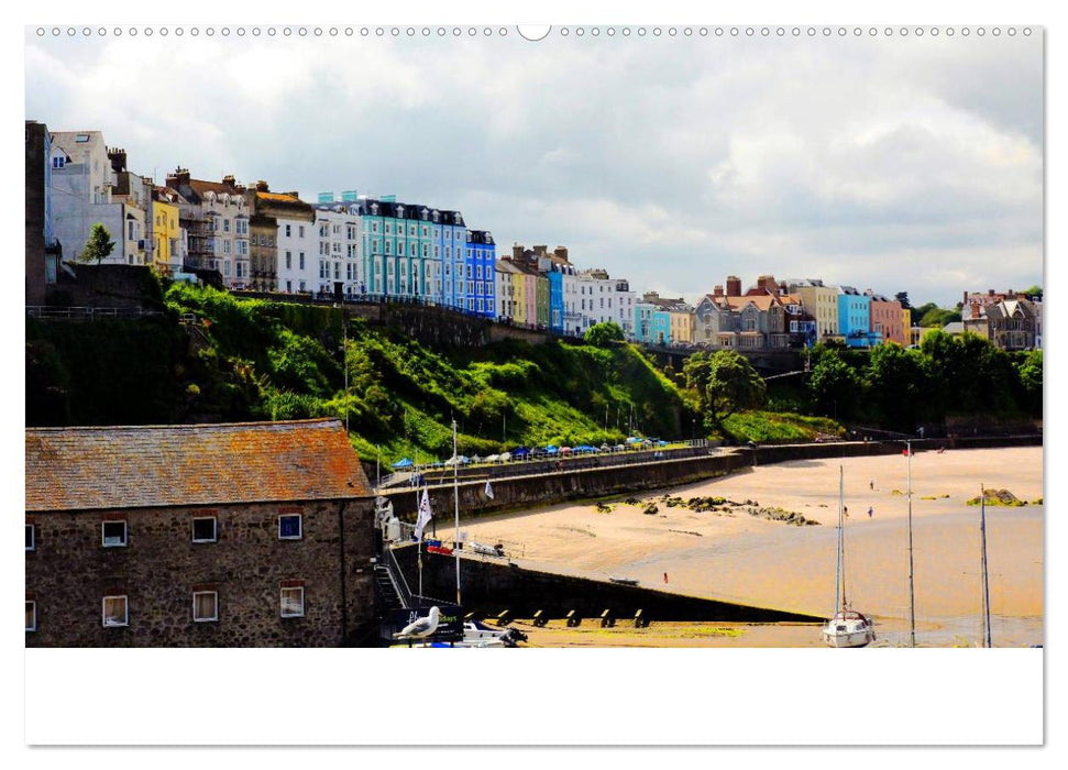 Wales Pembrokeshire - Natur im Fokus- (CALVENDO Wandkalender 2025)