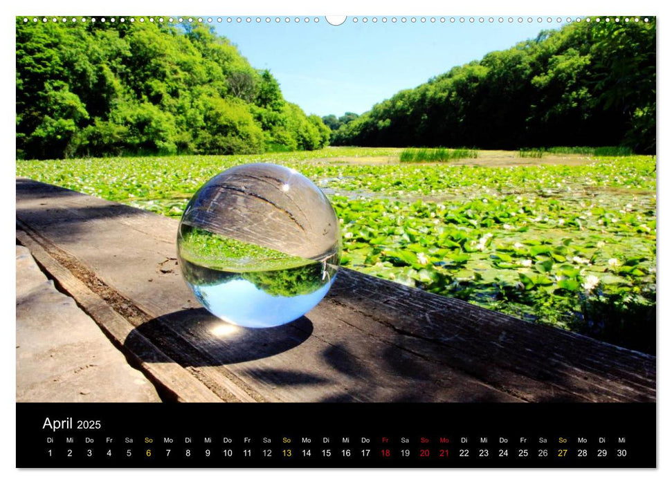 Wales Pembrokeshire - Natur im Fokus- (CALVENDO Wandkalender 2025)