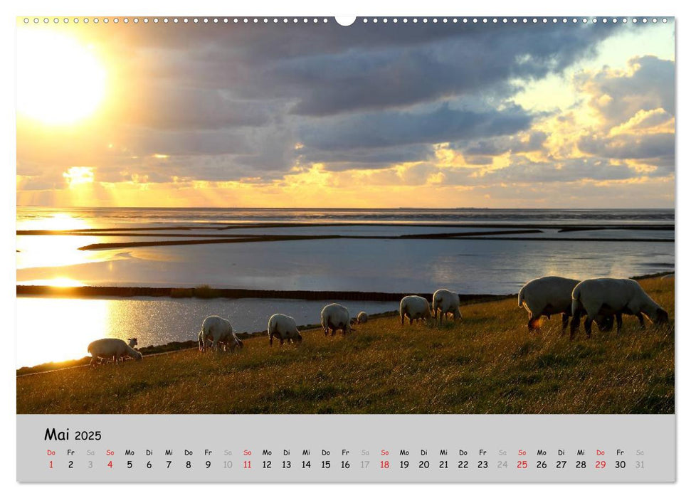 Sehnsucht Natur (CALVENDO Premium Wandkalender 2025)