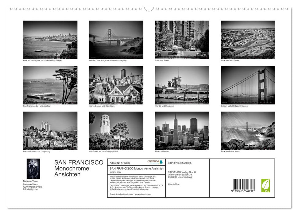 SAN FRANCISCO Monochrome Ansichten (CALVENDO Premium Wandkalender 2025)