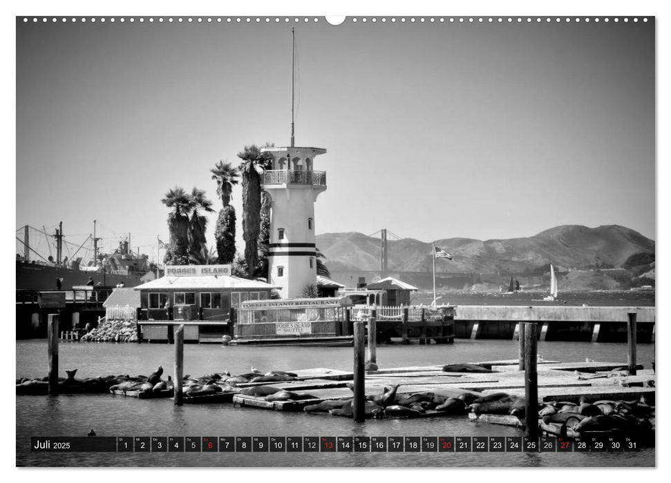 SAN FRANCISCO Monochrome Ansichten (CALVENDO Premium Wandkalender 2025)