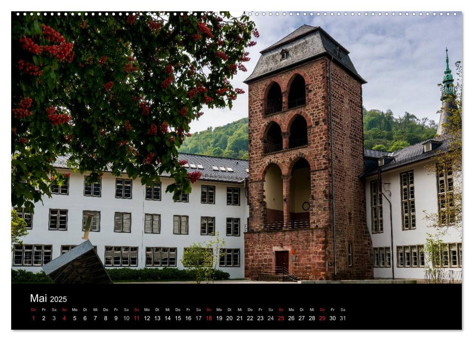 Heidelberg - Bilder einer Stadt (CALVENDO Premium Wandkalender 2025)