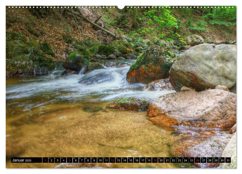 Verzauberter Harz (CALVENDO Wandkalender 2025)