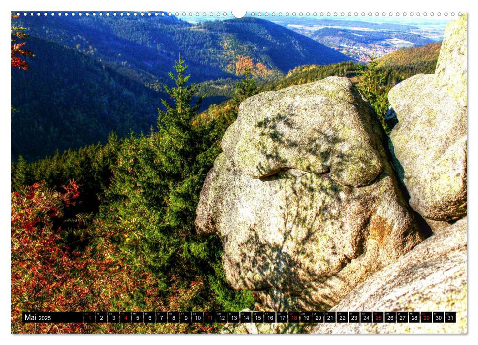 Verzauberter Harz (CALVENDO Wandkalender 2025)