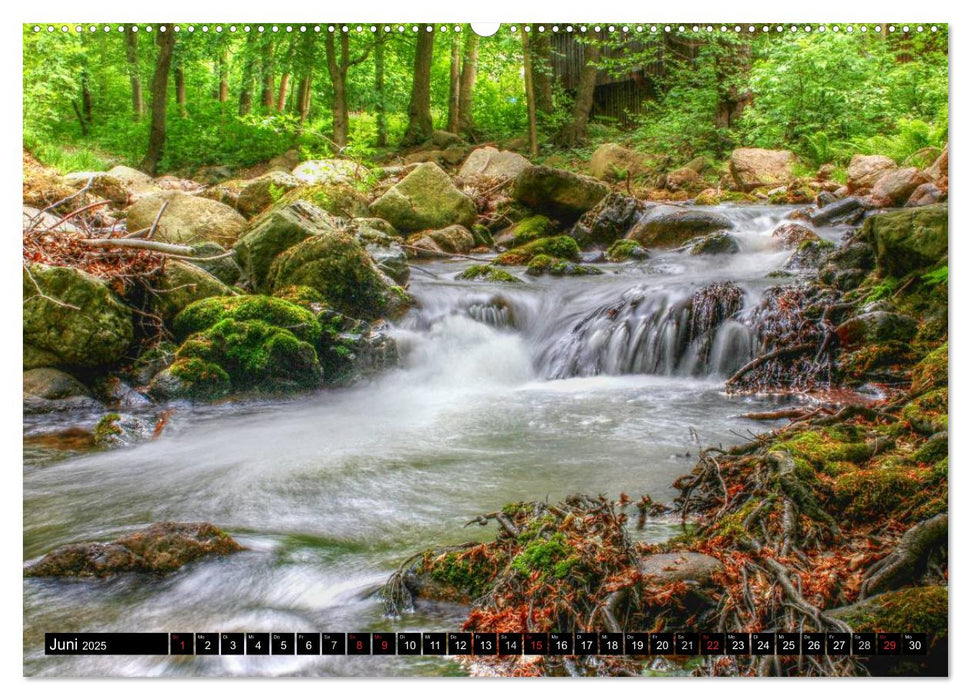 Verzauberter Harz (CALVENDO Wandkalender 2025)