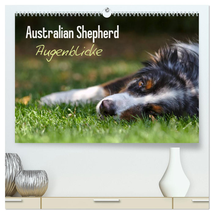 Australian Shepherd - Augenblicke (CALVENDO Premium Wandkalender 2025)