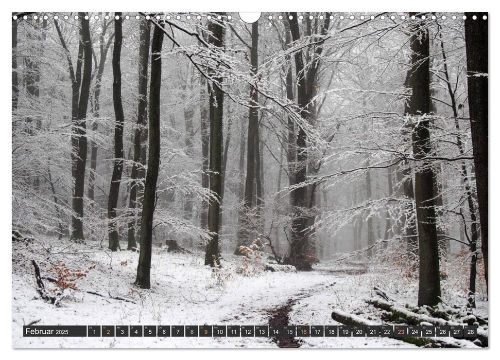 Unterwegs im Hunsrück (CALVENDO Wandkalender 2025)