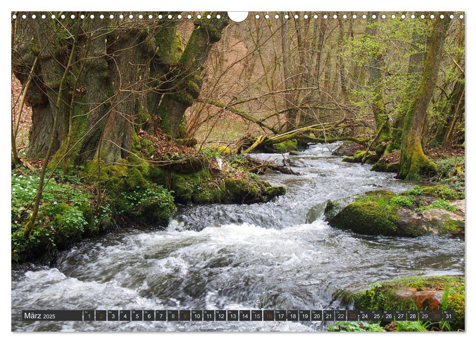 Unterwegs im Hunsrück (CALVENDO Wandkalender 2025)