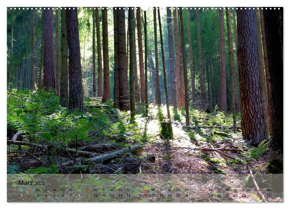 Bad Orb - Romantik im Spessart (CALVENDO Premium Wandkalender 2025)