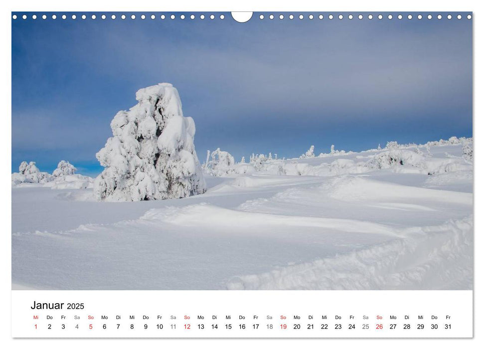 Naturerlebnis Nordschwarzwald (CALVENDO Wandkalender 2025)