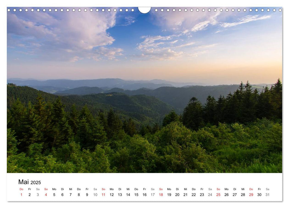 Naturerlebnis Nordschwarzwald (CALVENDO Wandkalender 2025)