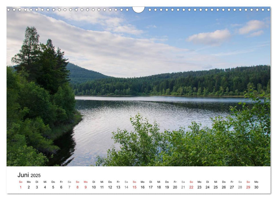 Naturerlebnis Nordschwarzwald (CALVENDO Wandkalender 2025)