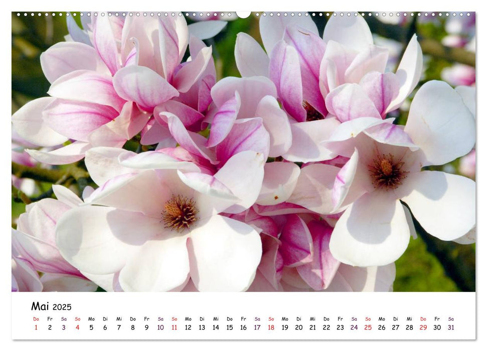 Blütezeit der Bäume und Sträucher (CALVENDO Premium Wandkalender 2025)