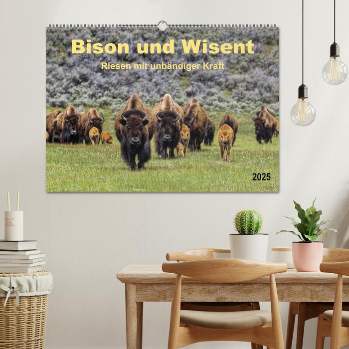 Bison und Wisent - Riesen mit unbändiger Kraft (CALVENDO Wandkalender 2025)