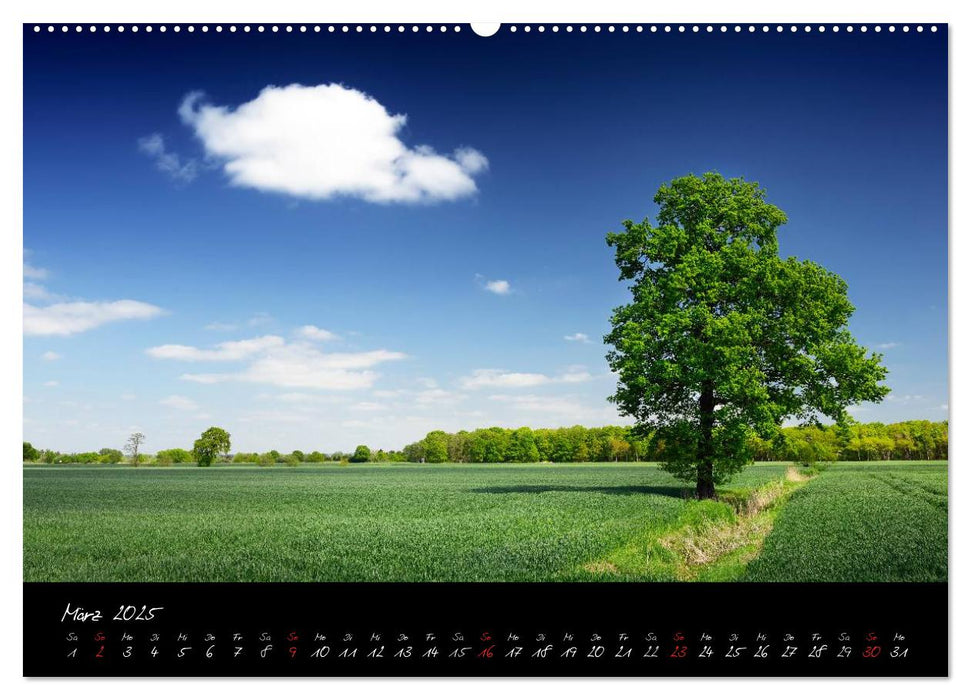 Vier- und Marschlande Hamburgs grüner Südosten (CALVENDO Premium Wandkalender 2025)