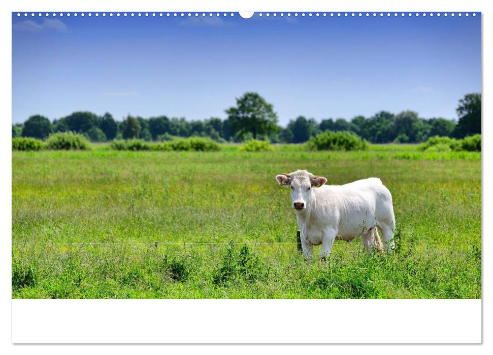 Vier- und Marschlande Hamburgs grüner Südosten (CALVENDO Premium Wandkalender 2025)