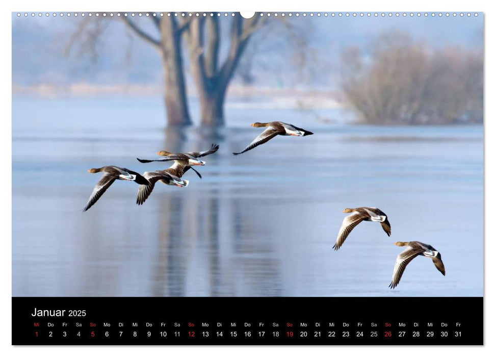 Elbtalblicke (CALVENDO Premium Wandkalender 2025)