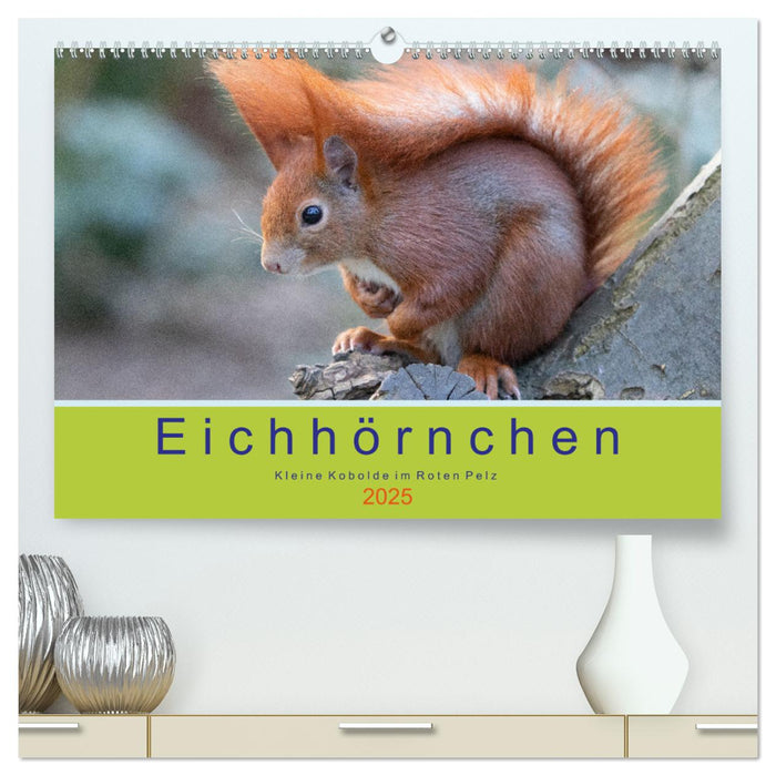 Eichhörnchen - Kleine Kobolde im Roten Pelz (CALVENDO Premium Wandkalender 2025)