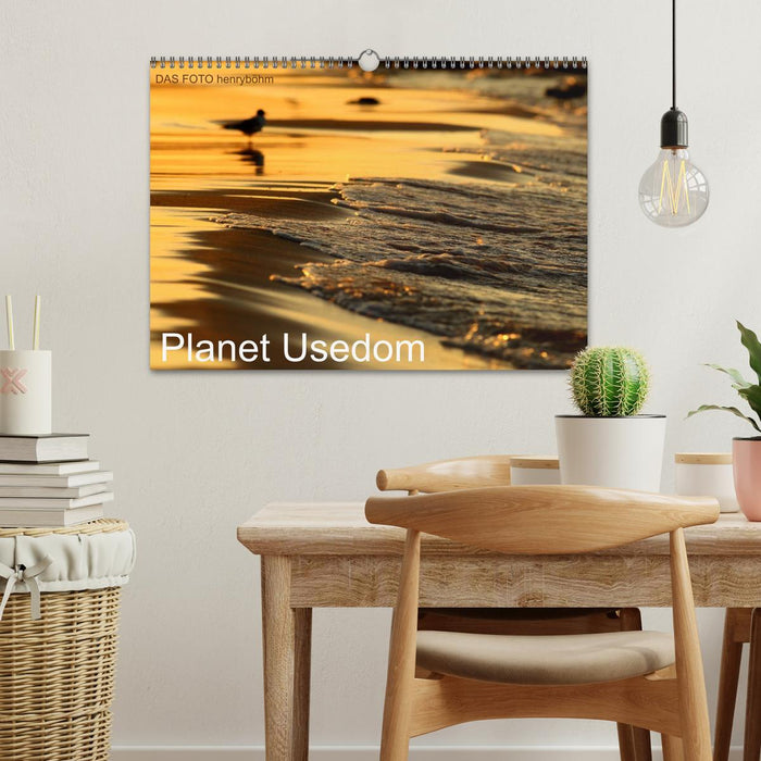 Planet Usedom (CALVENDO Wandkalender 2025)